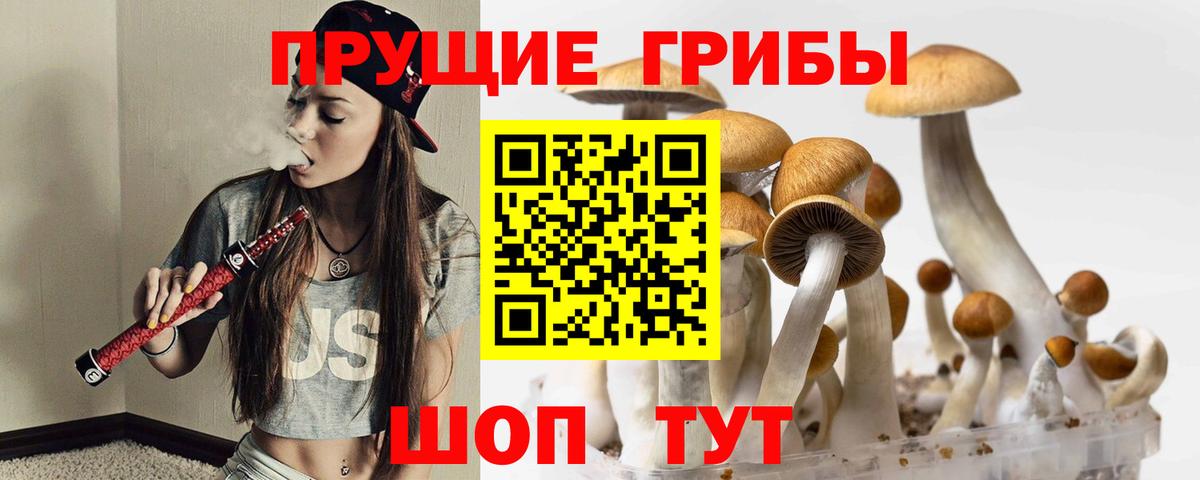 Сухой Лог  купить  сайты  Вход с VPN  Псилоцибиновые грибы мицелий 